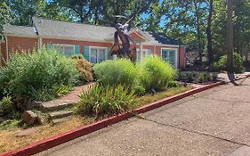 Eclectic Osage Cottage In Historic District